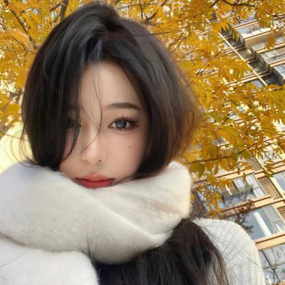 官能的法则